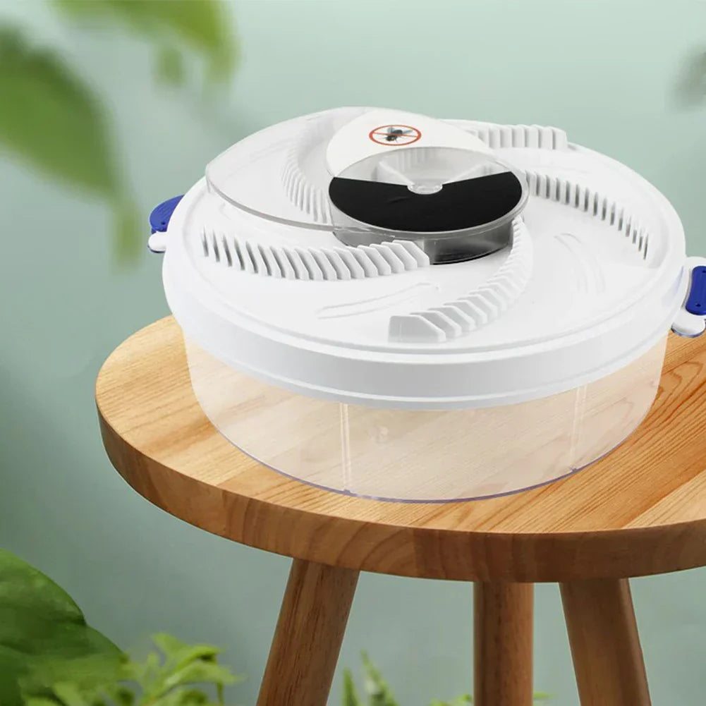 Baby Safe Electric Flycatcher
